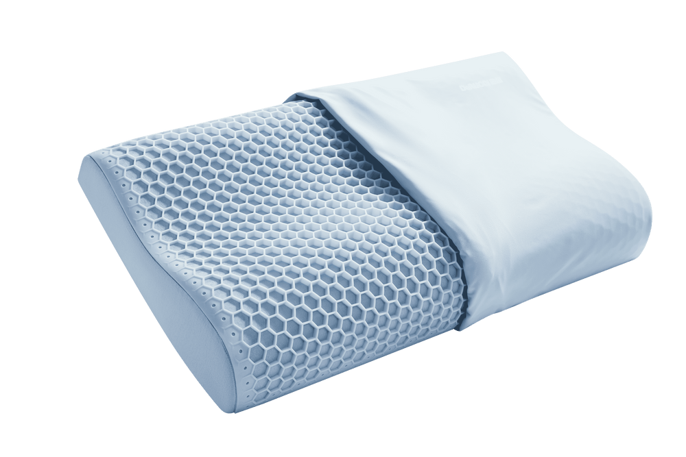 PZZ8-048 Pillow