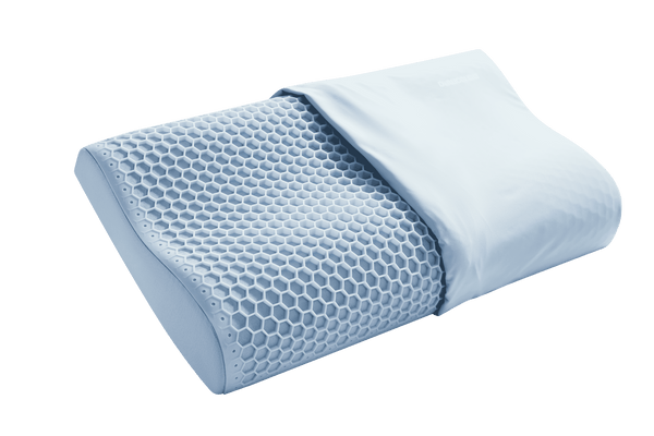 PZZ8-048 Pillow