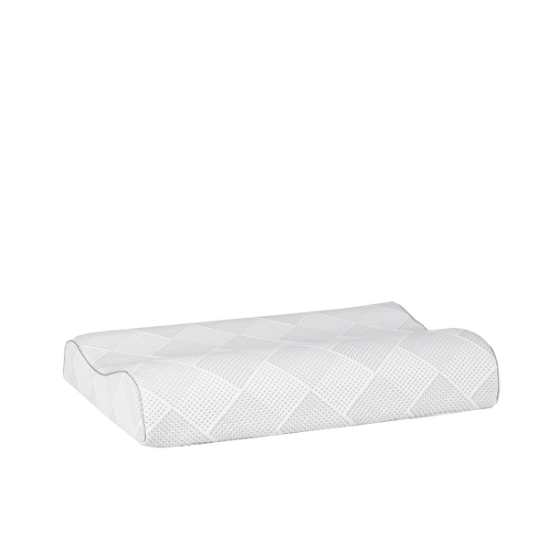 PZZ8-052 Pillow