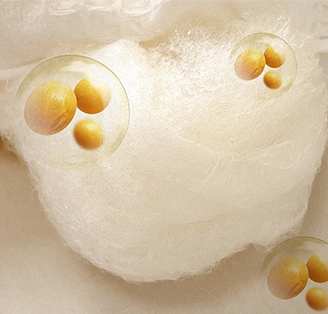 Organic Soybean Fiber Cotton